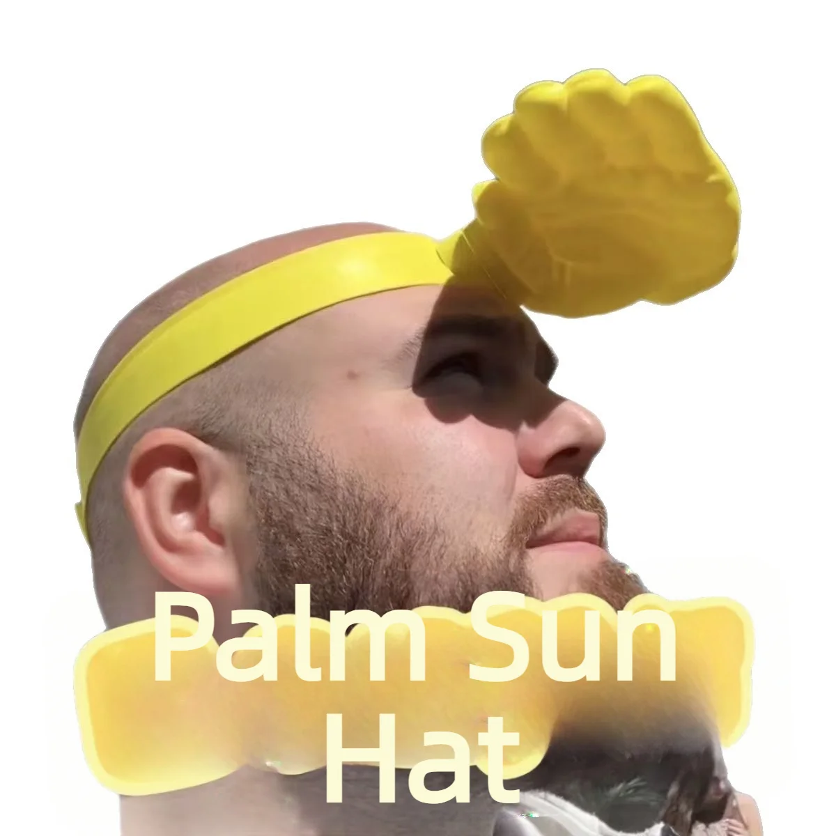 1/3Pcs Novelty 3D Palm Hand Sh - Visor Sun Hat 评论和价格